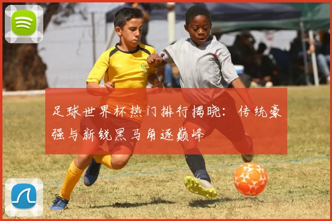 足球世界杯热门排行揭晓：传统豪强与新锐黑马角逐巅峰
