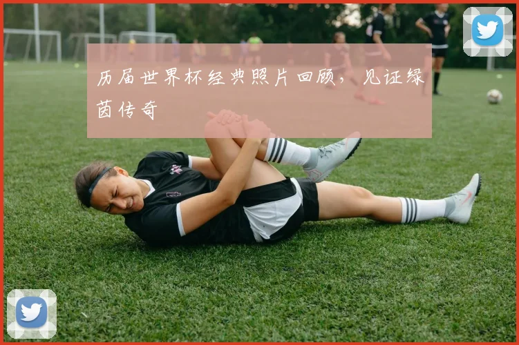 历届世界杯经典照片回顾，见证绿茵传奇