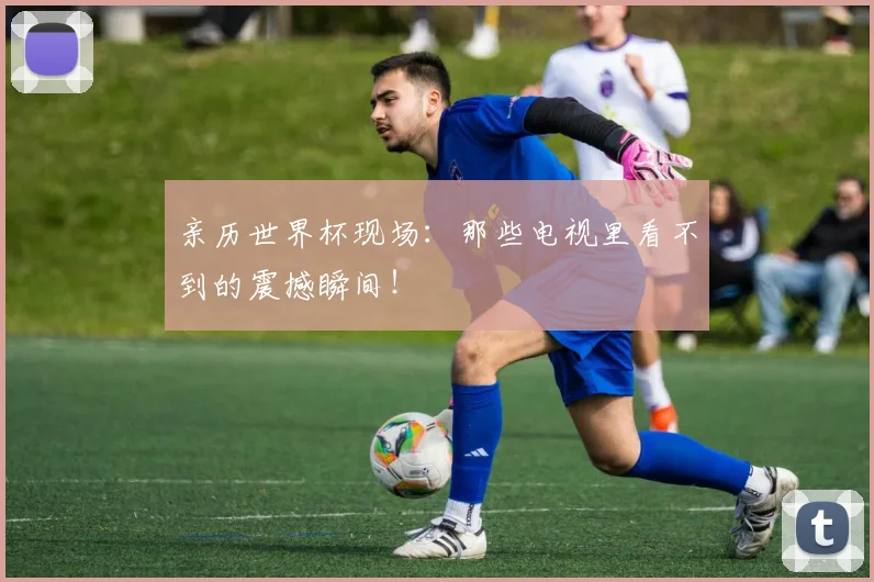 亲历世界杯现场：那些电视里看不到的震撼瞬间！
