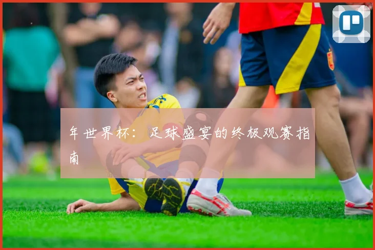 年世界杯:足球盛宴的终极观赛指南