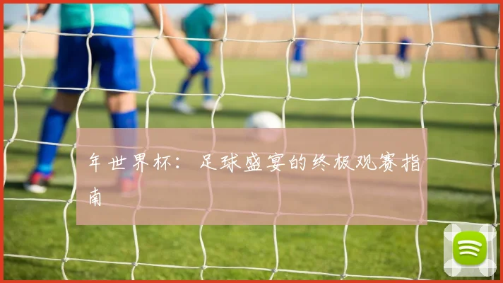 年世界杯:足球盛宴的终极观赛指南