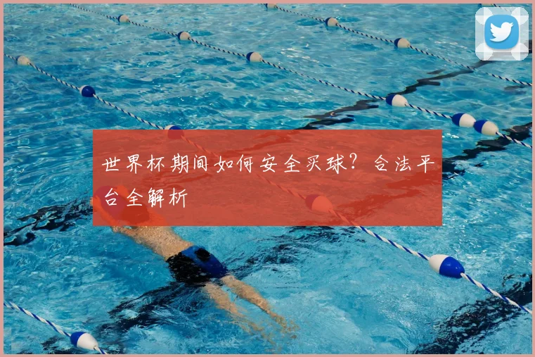 世界杯期间如何安全买球？合法平台全解析