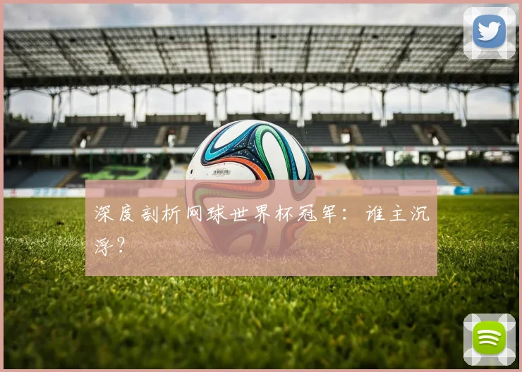 深度剖析网球世界杯冠军：谁主沉浮？