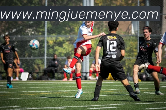 App Interface Preview